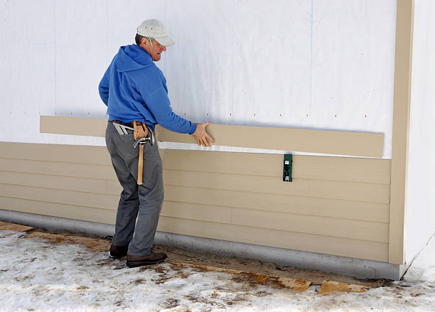 Best Brick Veneer Siding  in Waynesboro, GA