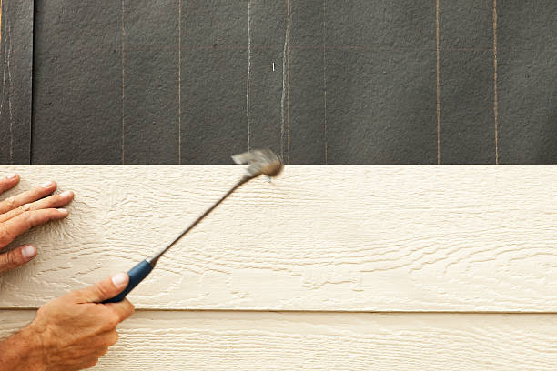 Best Vinyl Siding Installation  in Waynesboro, GA